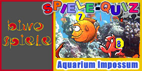 Gewinnspiel Aquarium-Impossum bei Hall9000